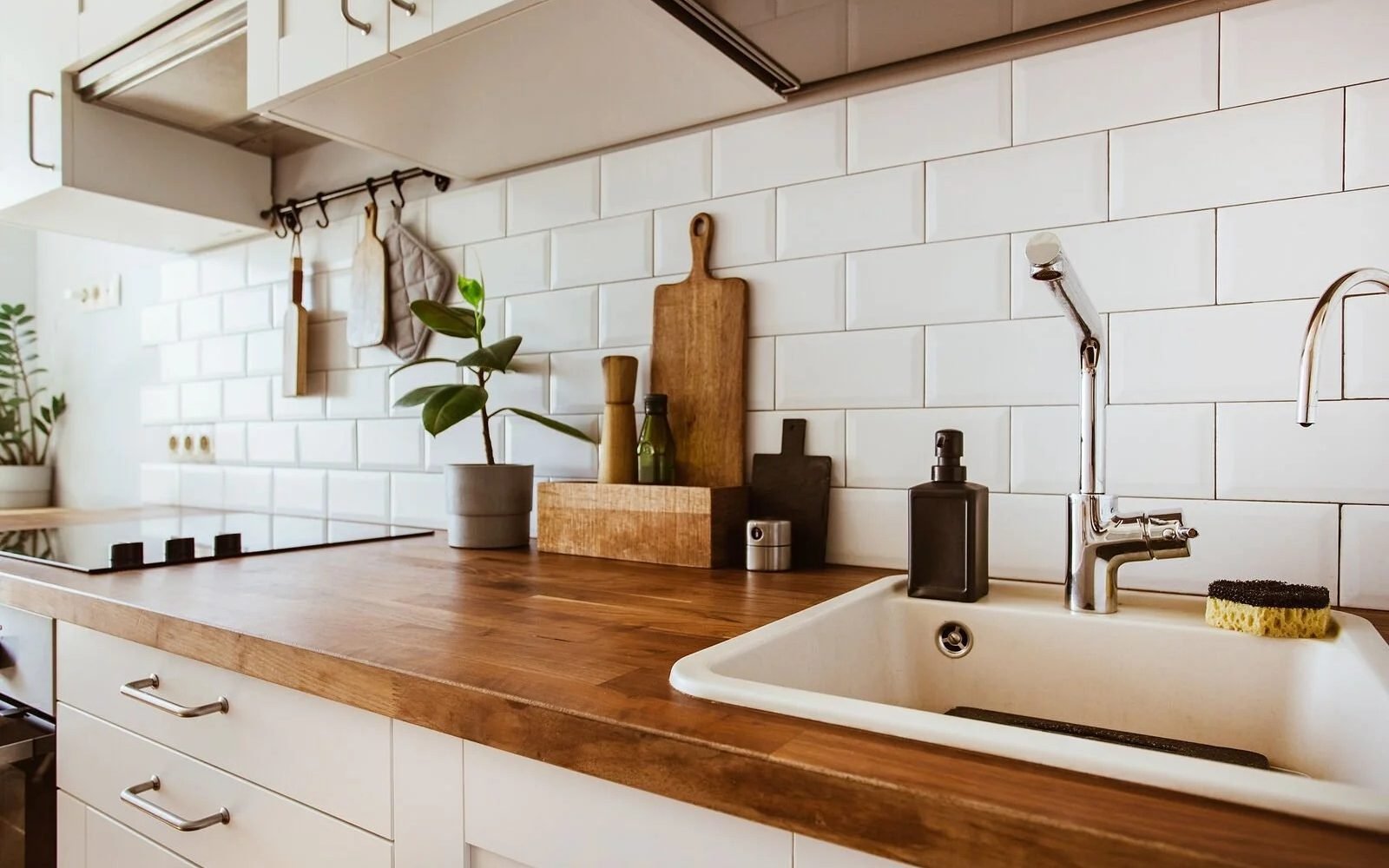 imgi_9_473317126_1101909804746453_499242979475614523_n imgi_9_473317126_1101909804746453_499242979475614523_n